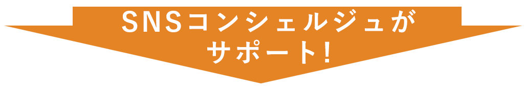 SNSコンシェルジュがサポート